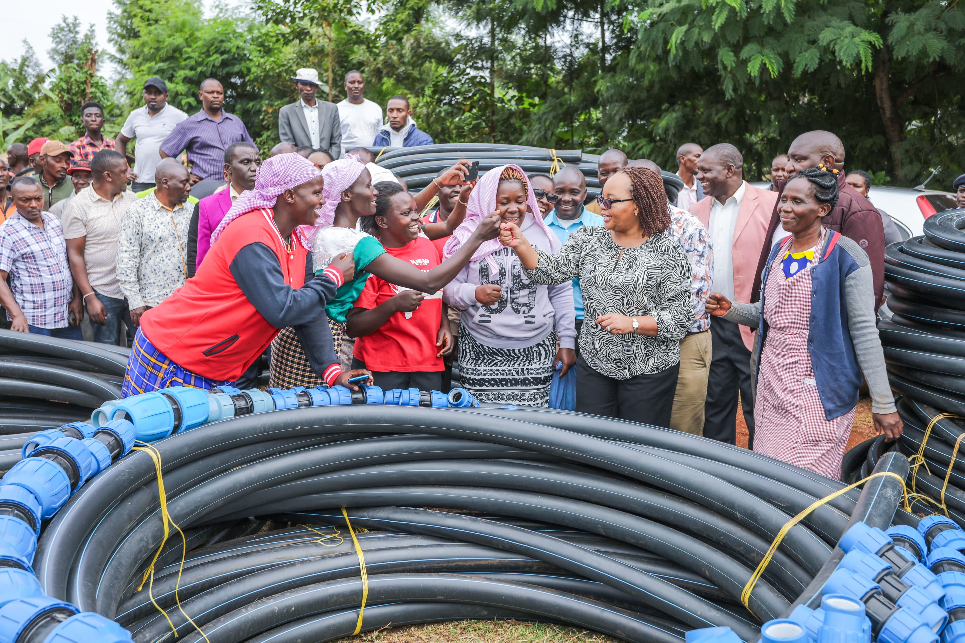 Kirinyaga Governor Anne Waiguru.